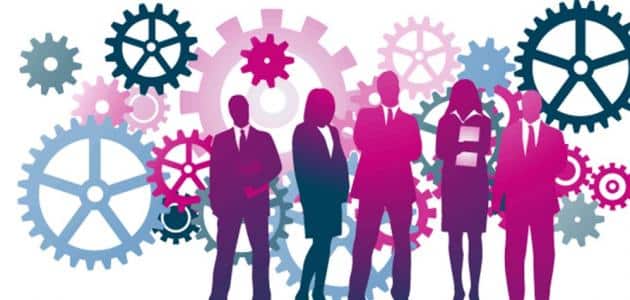 تخصص إدارة الموارد البشرية