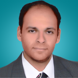 أ د / محمد نبيل الشامي